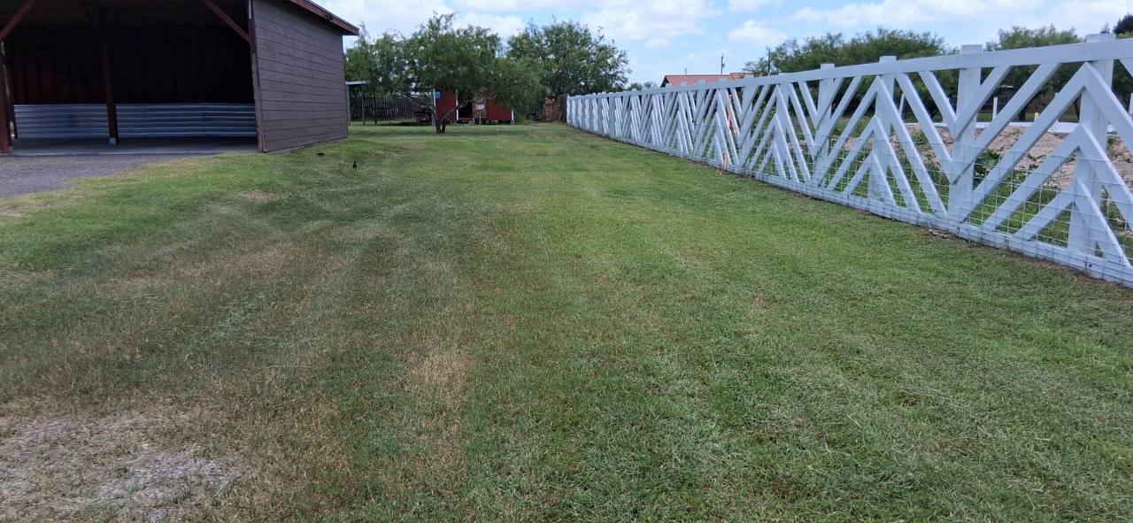 Yard cleanup service by Affordable Grass Cut
